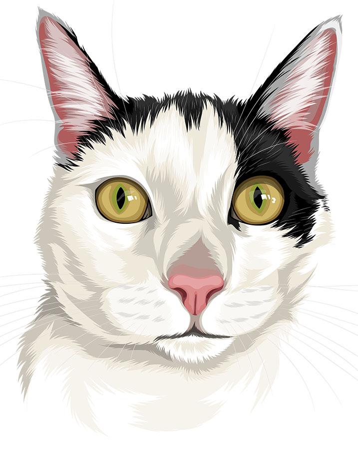 717x933 Cat Face Vector Women's Slim Fit Pocket Print T Shirt + Free Digi