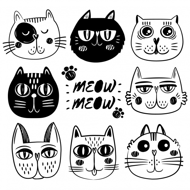 626x626 Cat Face Vectors, Photos And Free Download