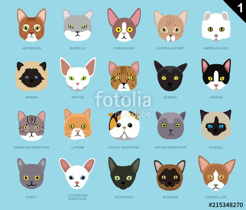 500x427 Cat Faces Icon Cartoon Stock Image And Royalty Free Vector