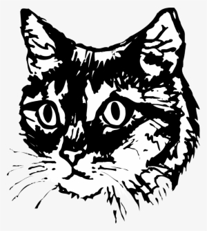 300x334 Cat Vector Png, Free Hd Cat Vector Transparent Image