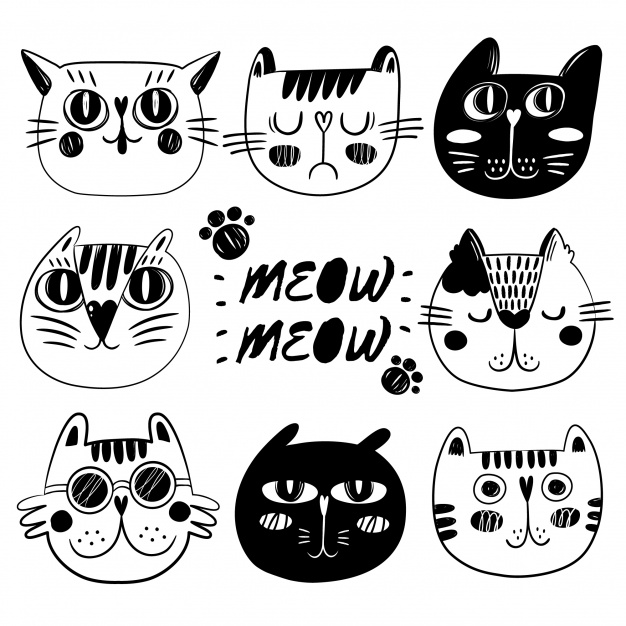 626x626 Cat Face Collection Vector Free Download