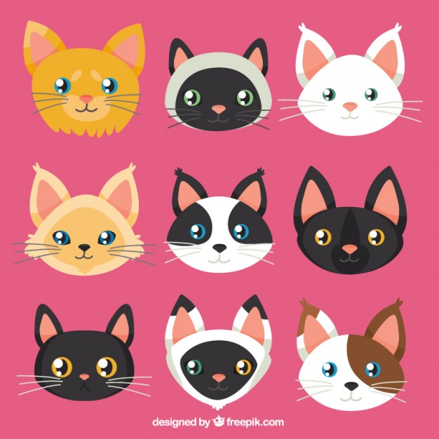 626x626 Cat Faces Collection Vector Free Download