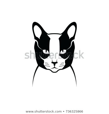 450x470 Vector Cat Head Face For Retro Hipster Logos Emblems Badges Labels
