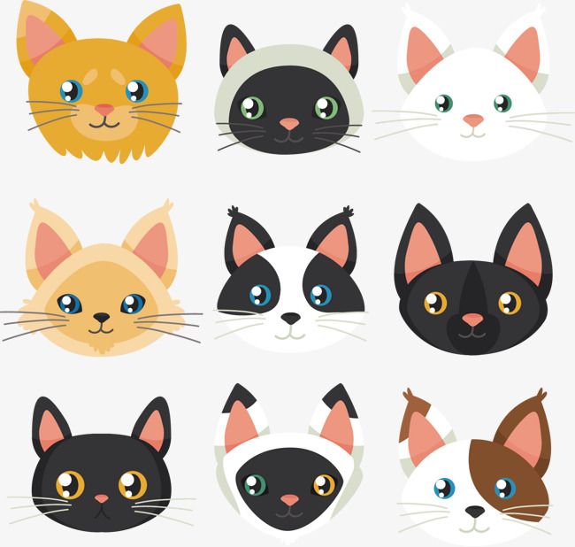 650x618 Vector Painted Cat Avatar, Cat Vector, Vector, Hand Painted Png