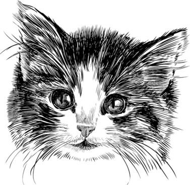 377x368 Cat Head Free Vector Download