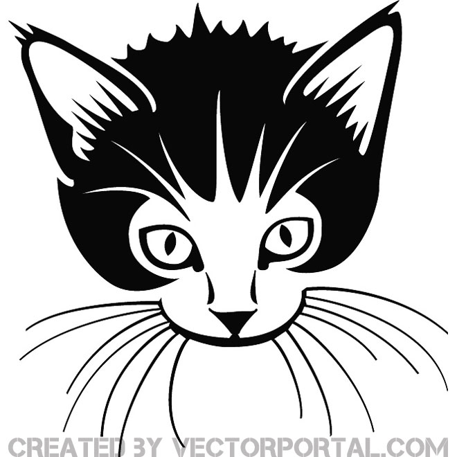 660x660 Cute Cat Free Vector
