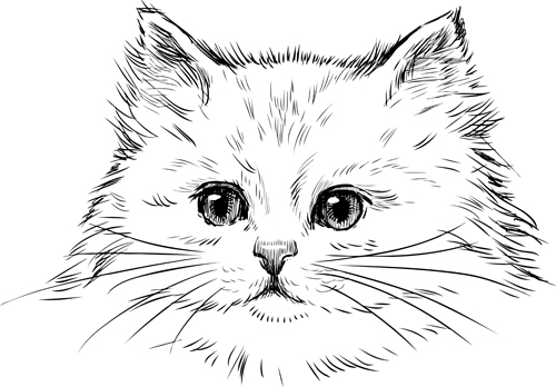 500x348 Hand Drawn Cats Head Vector Set Free Download