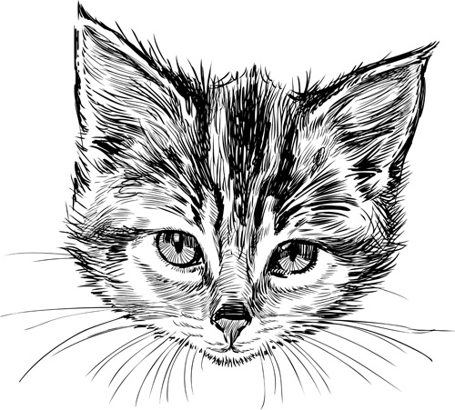 500x451 Hand Drawn Cats Head Vector Set Free Vector In Adobe Illustrator