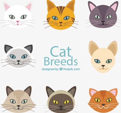 474x444 Vector Painted Cat Avatar, Vector, Hand Painted, Cat Face Png