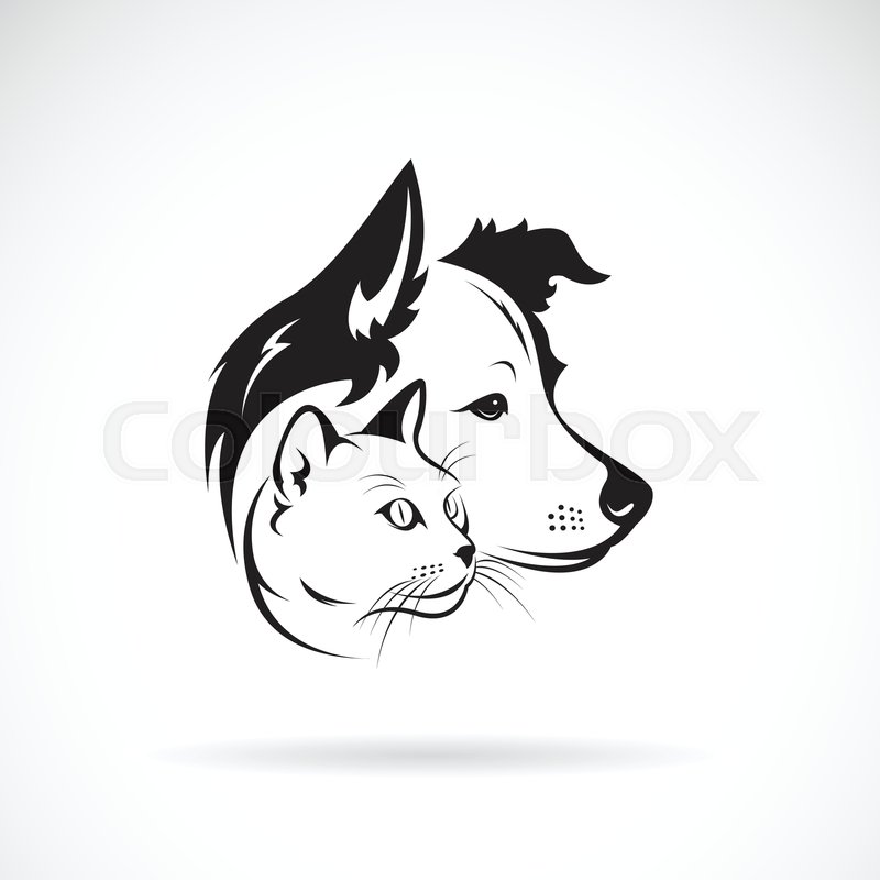 800x800 Vector Of Dog And Cat Head Design On A Stock Vector Colourbox