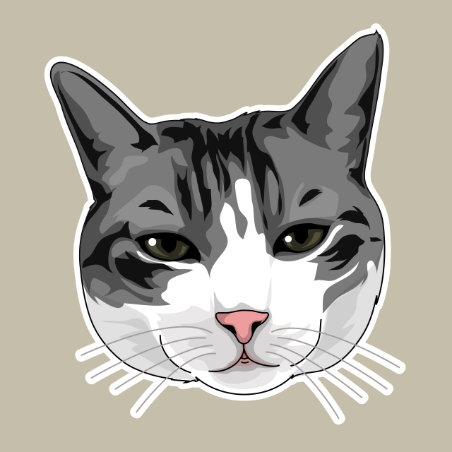 640x640 Cat Head Illustration Background, Cat Illustration, Cat Background