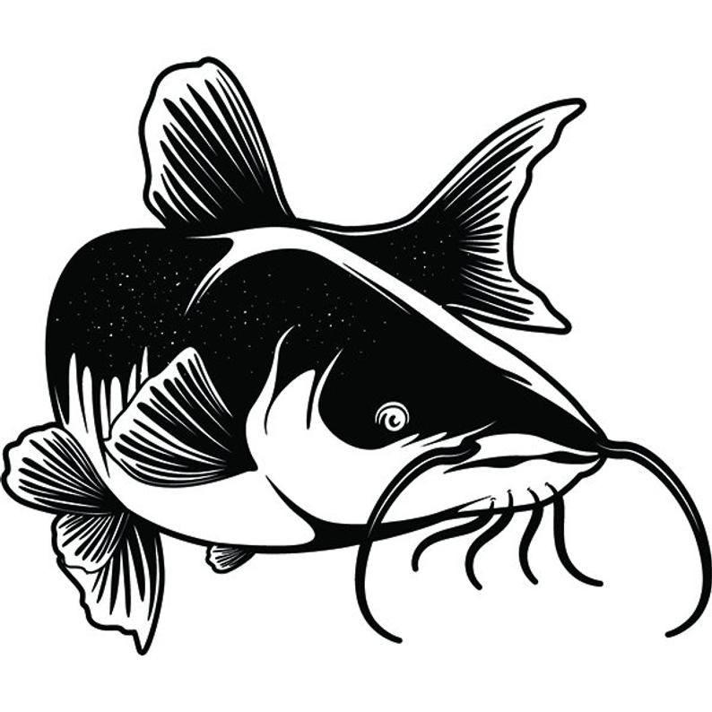 Download Vector Catfish at Vectorified.com | Collection of Vector ...