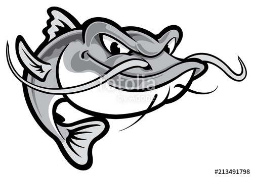 500x351 Catfish Stock Image And Royalty Free Vector