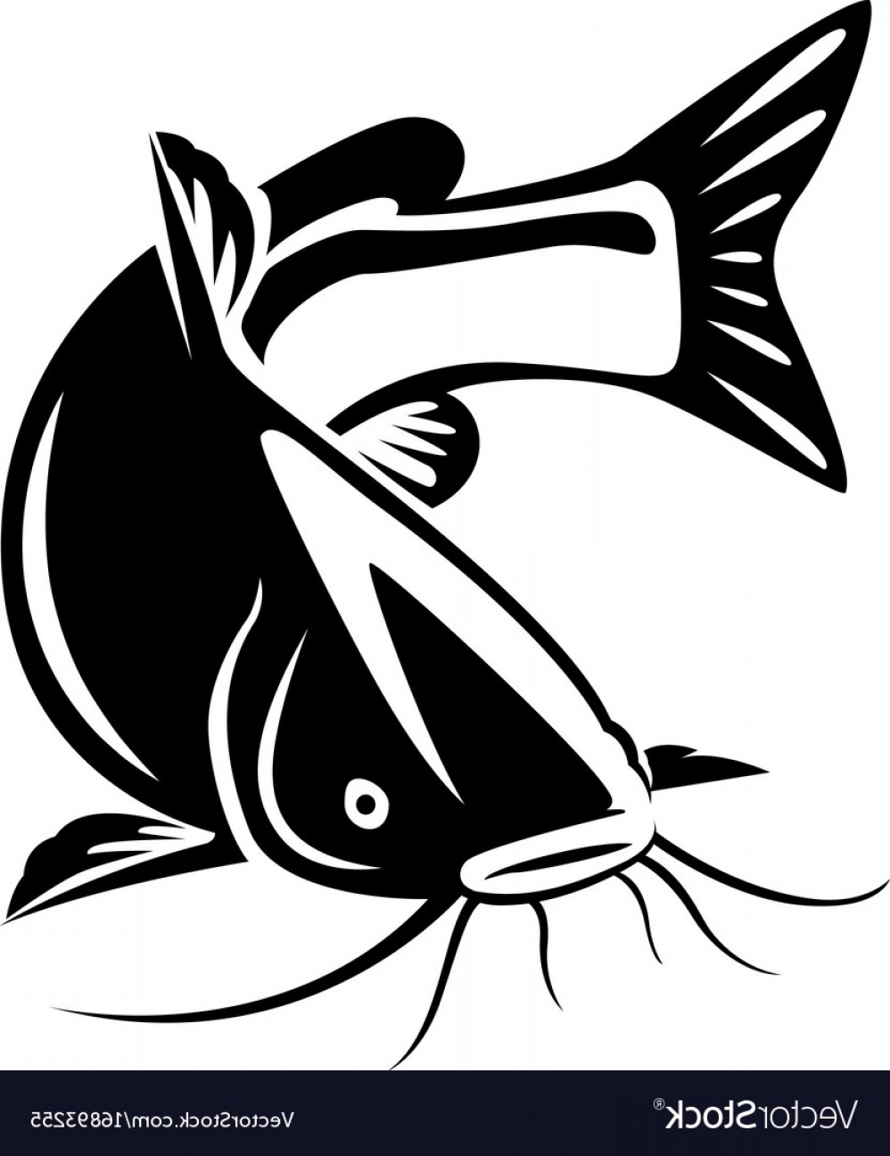 998x1296 Graphic Catfish On White Background Vector Soidergi