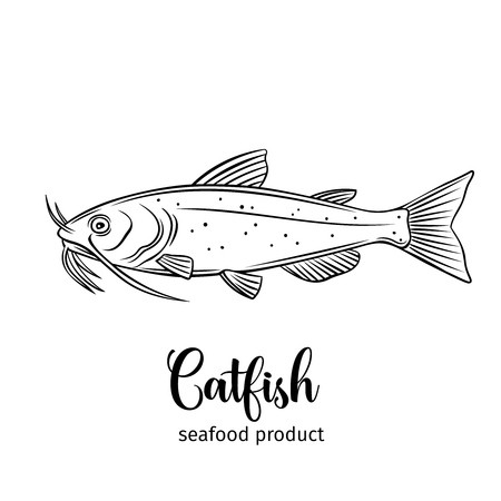 450x450 Vector Catfish Royalty Free Vector Graphics