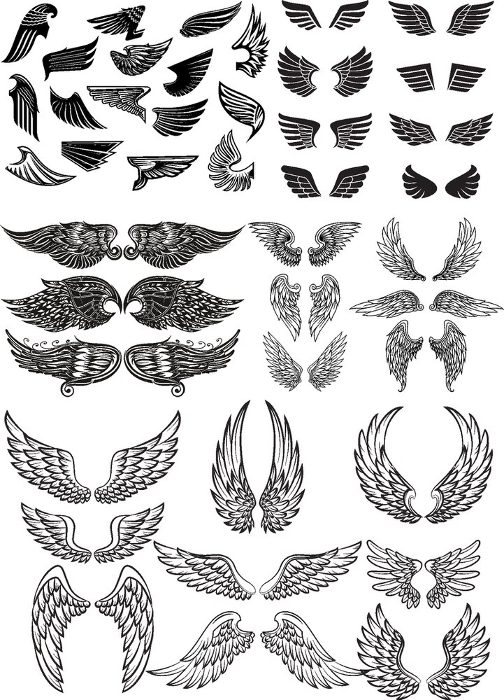 721x1000 Wings Vector Set Free Vector Cdr Download