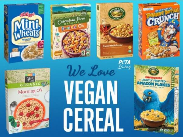 602x451 Breakfast Is Much Better With These Vegan Cereal Options
