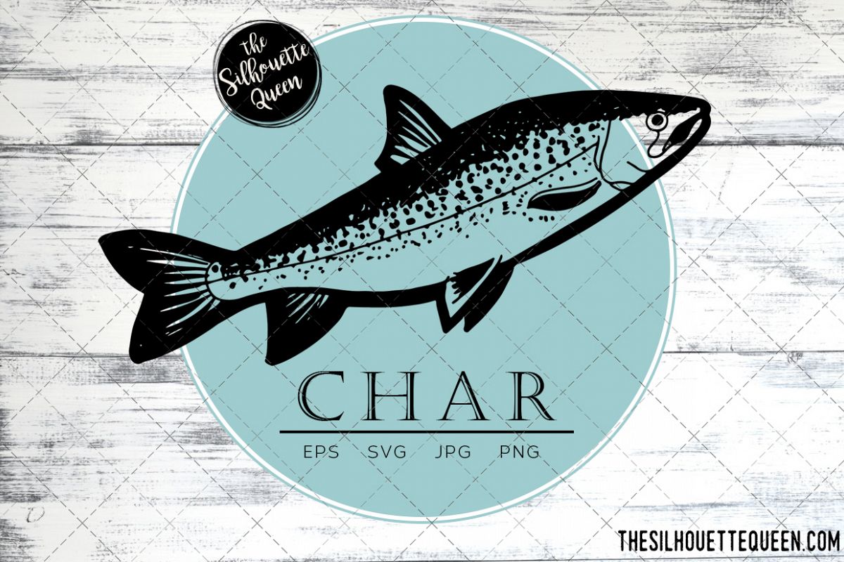 1200x800 Hand Drawn, Sketched Char Fish Vector