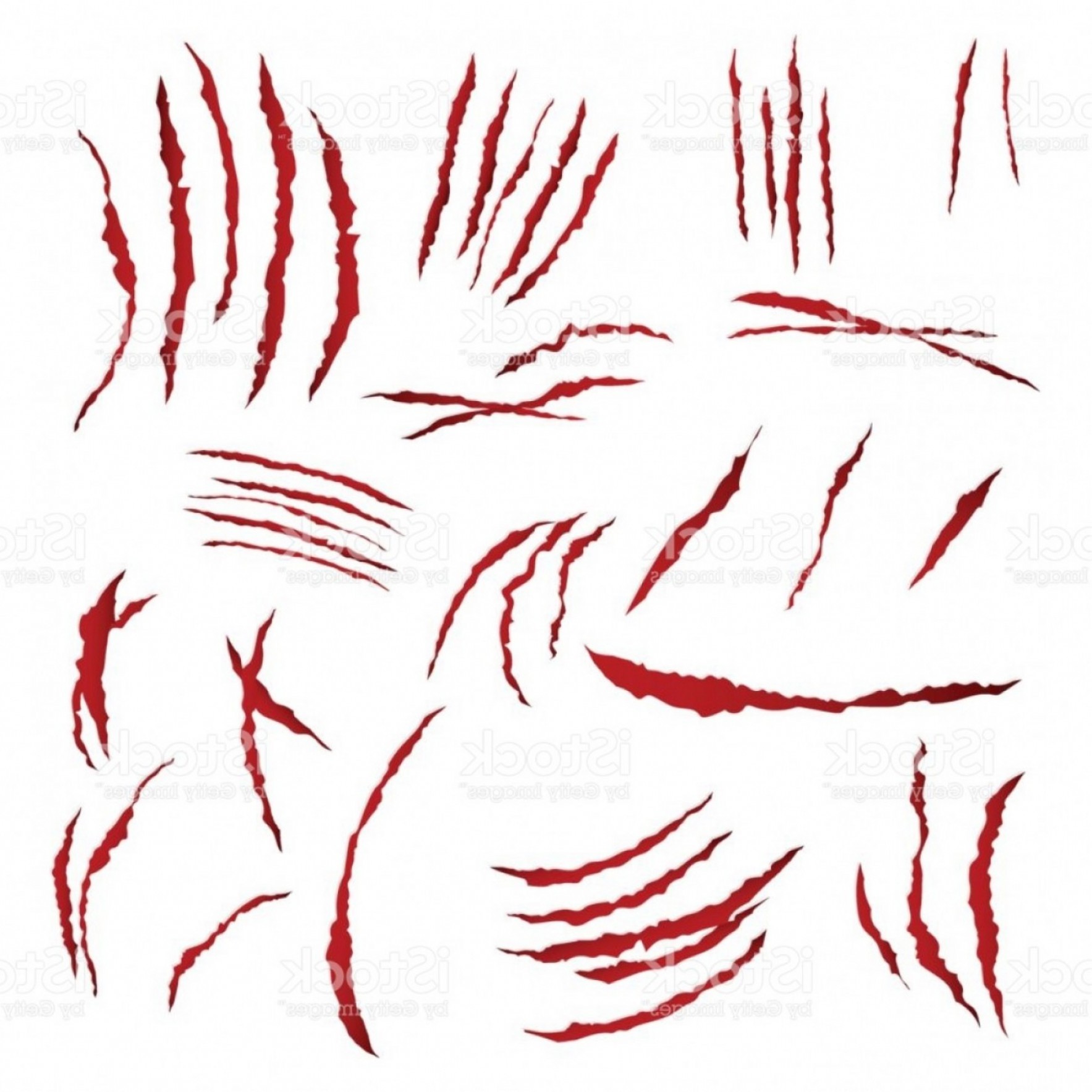 1767x1767 Claws Scratches Vector Isolated On White Background Bear Or Tiger