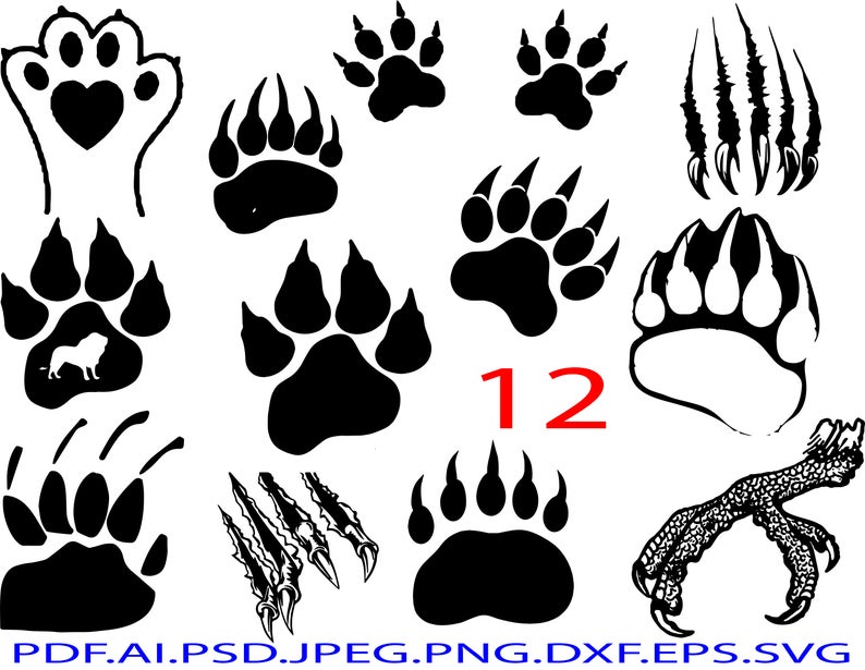 794x615 Clawsclaw Vectorclaw Svgclaw Clipartclaw Filesclaw Etsy