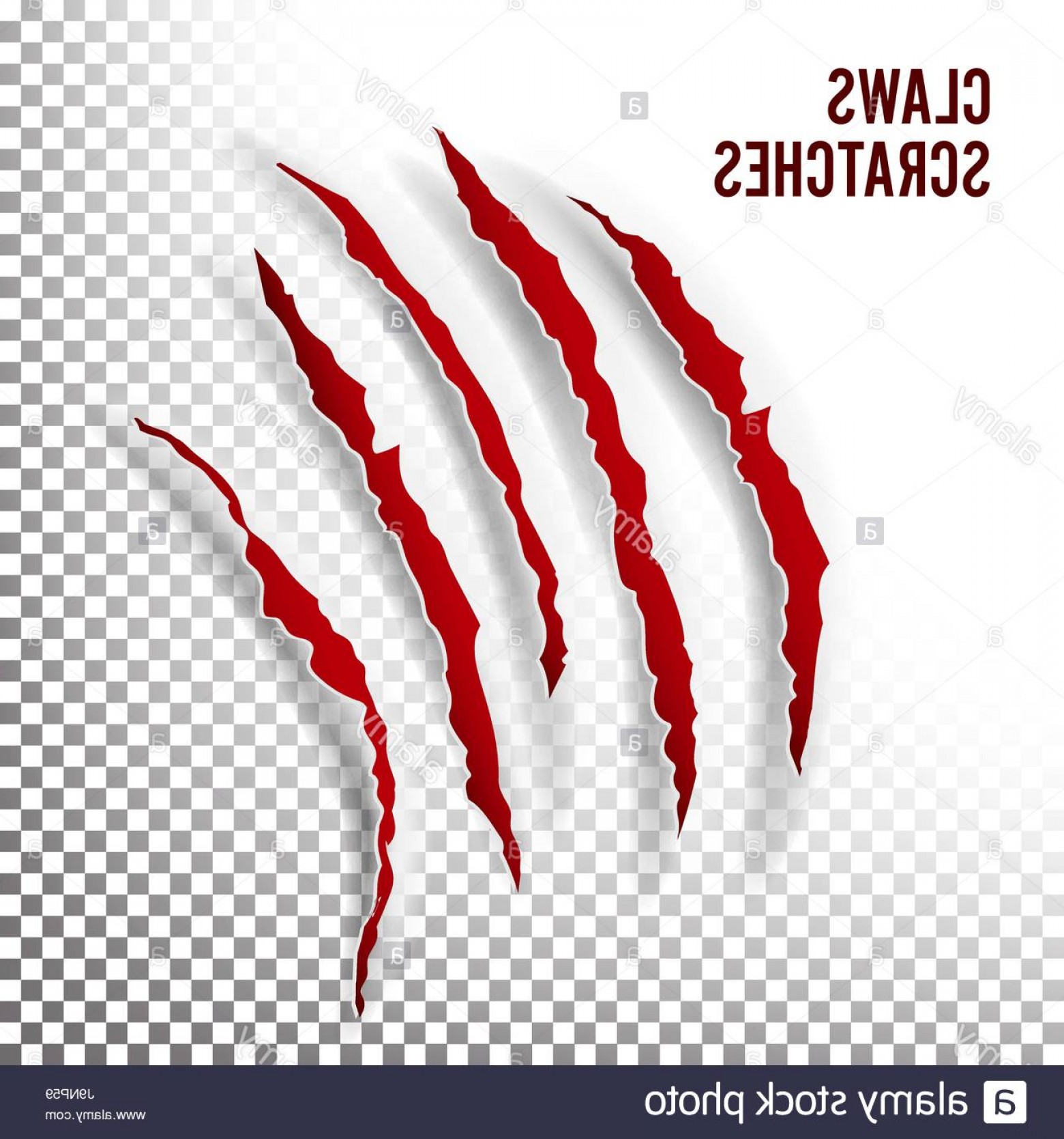 1560x1668 Stock Photo Claws Scratches Vector Claw Scratch Mark Bear Or Tiger