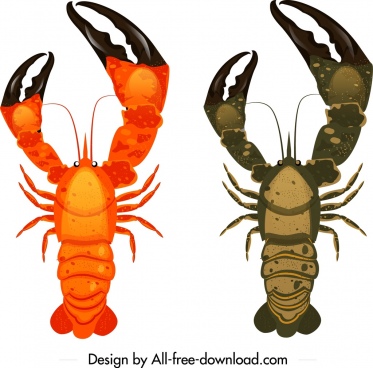 373x368 Claw Free Vector Download