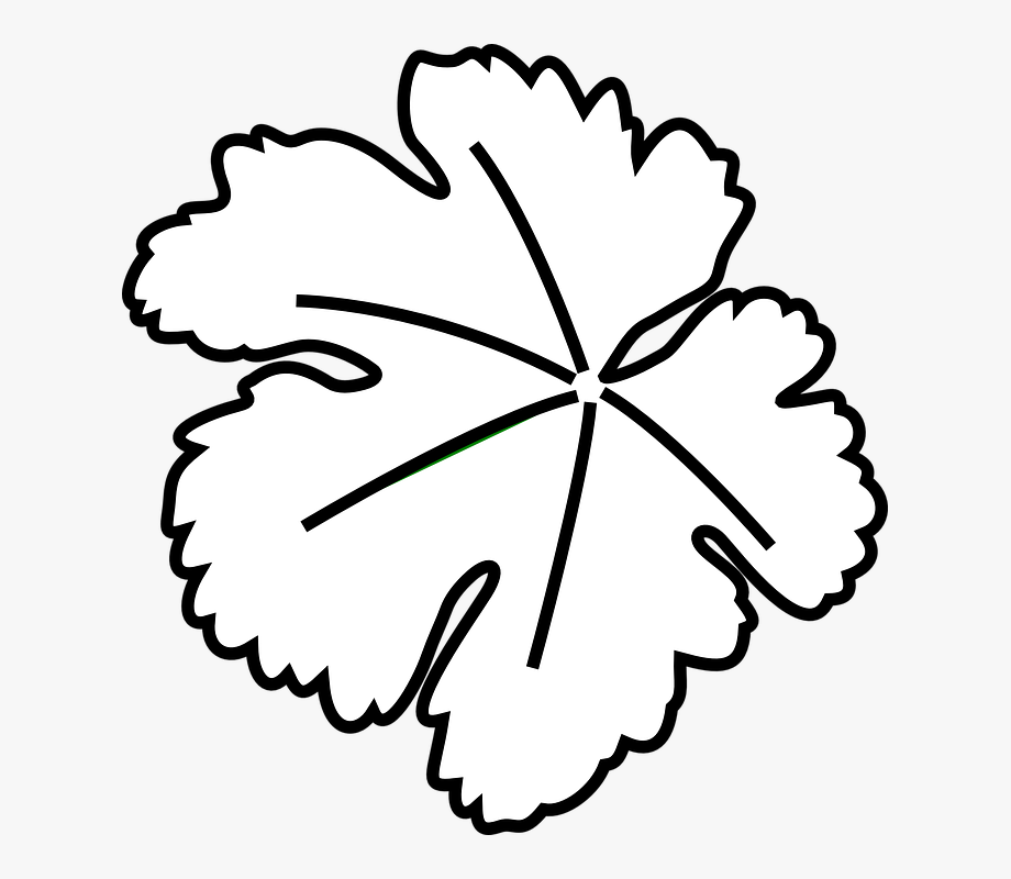 920x800 Clipart Free Black And Techflourish Collections Leaf