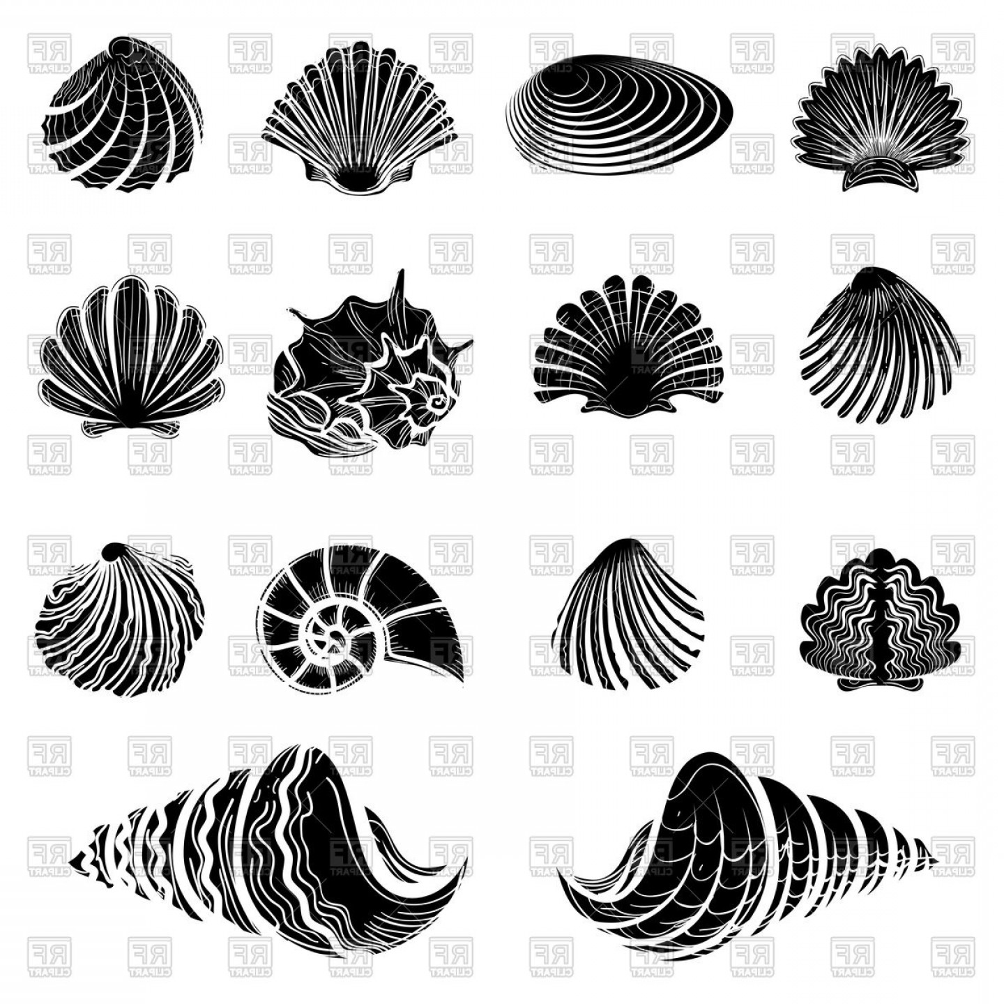 1440x1440 Black Sea Shells Silhouettes Collection Vector Clipart Wallkeeper