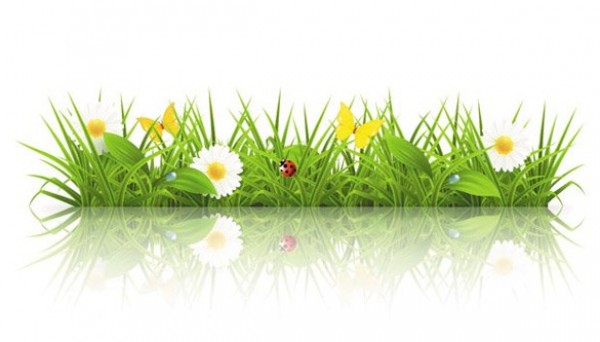 600x342 Reflection Spring Grass Floral Vector Background