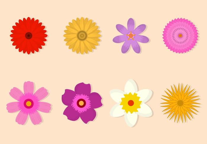 700x490 Flowers Free Vector Art