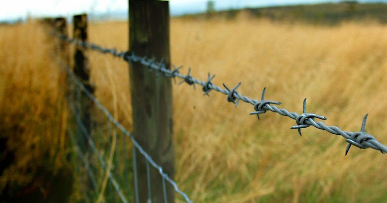 Barbed Wire Fence Vector Image Barb Wire Fences In College Station 779x408 Barbed Wire Fence Vector Image Barb Wire Fences In College Station