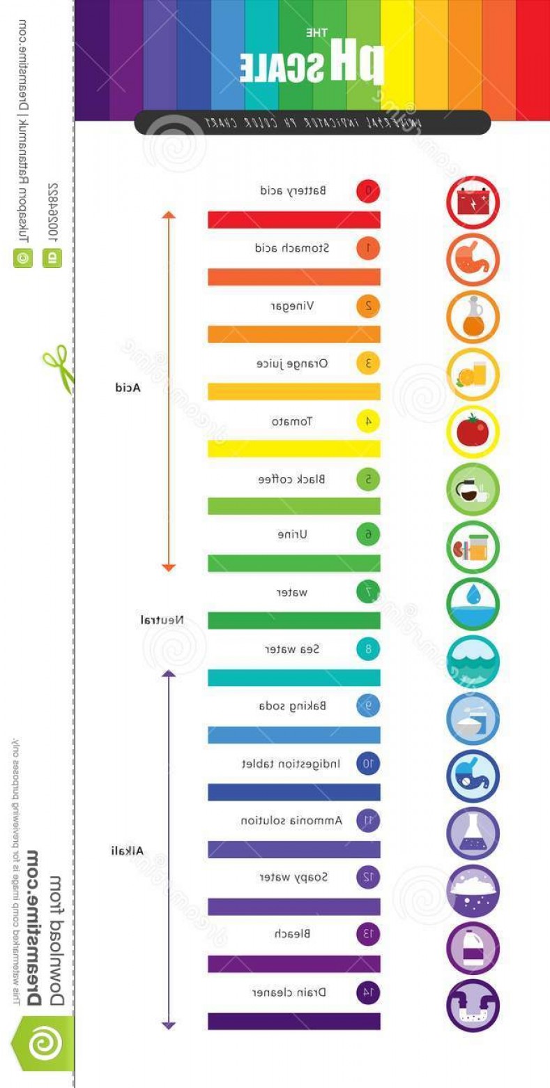 Vector Color Chart At Vectorified Com Collection Of Vector Color Chart Free For Personal Use