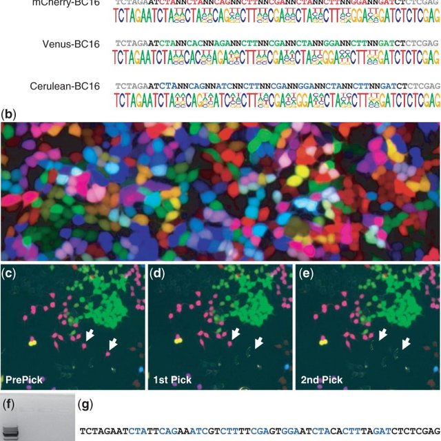 640x640 Vector Construction And Deciphering The Color Code