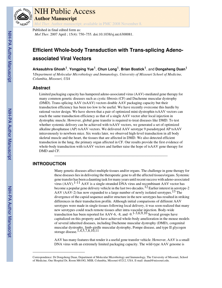 850x1100 Pdf Efficient Whole Body Transduction With Trans Splicing Adeno