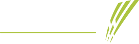 272x87 Vector Communications Intelligent Networks