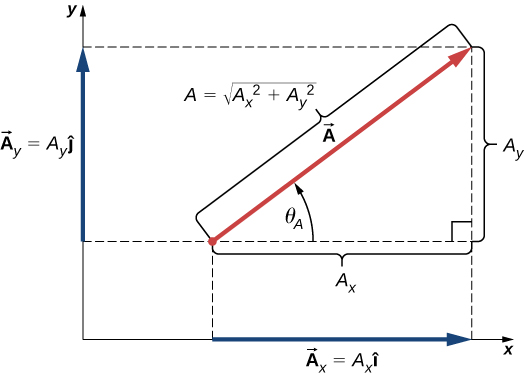 Coordinate Systems And Components Of A Vector University 524x378 Coordinate Systems And Components Of A Vector University