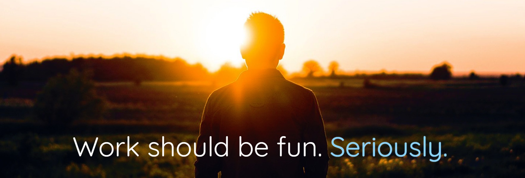 1767x600 Vector Marketing