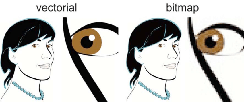 850x354 Vector Compare To Bitmap Download Scientific Diagram