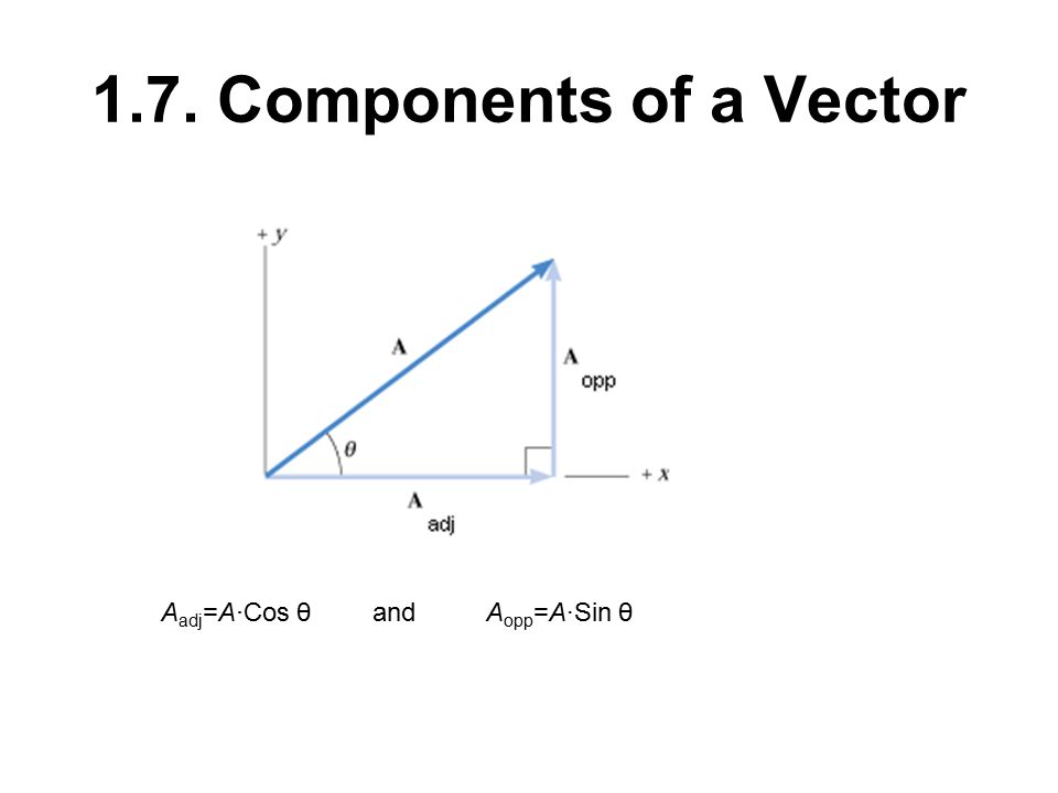 Component Drawing at PaintingValley.com | Explore collection of ...