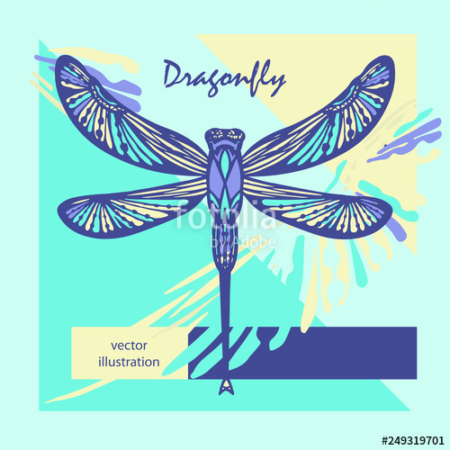 Dragonfly Vector Composition Stock Image And Royalty Free Vector 500x500 Dragonfly Vector Composition Stock Image And Royalty Free Vector
