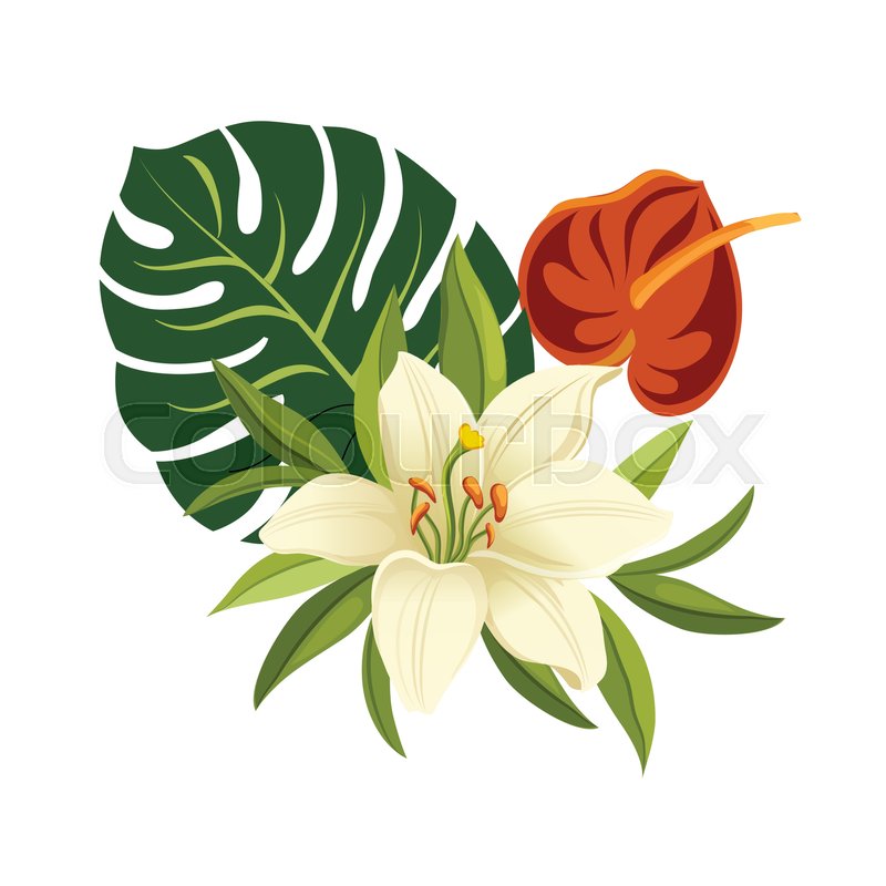 Tropical Flowers And Leaves Elegant Stock Vector Colourbox 800x800 Tropical Flowers And Leaves Elegant Stock Vector Colourbox