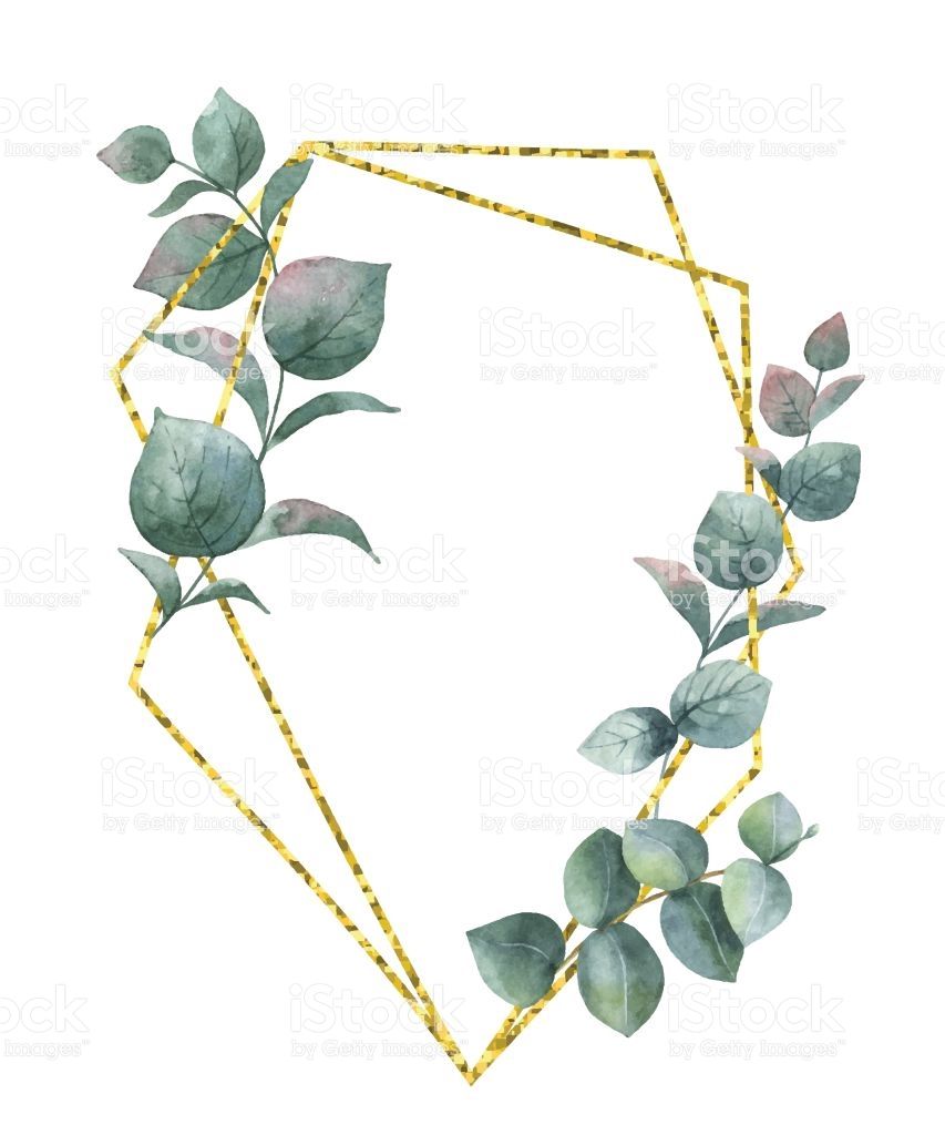 Watercolor Composition From The Branches Of Eucalyptus And Gold 853x1024 Watercolor Composition From The Branches Of Eucalyptus And Gold