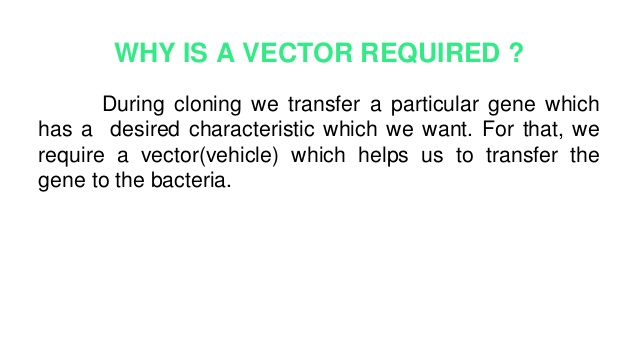 638x359 Vector Construction