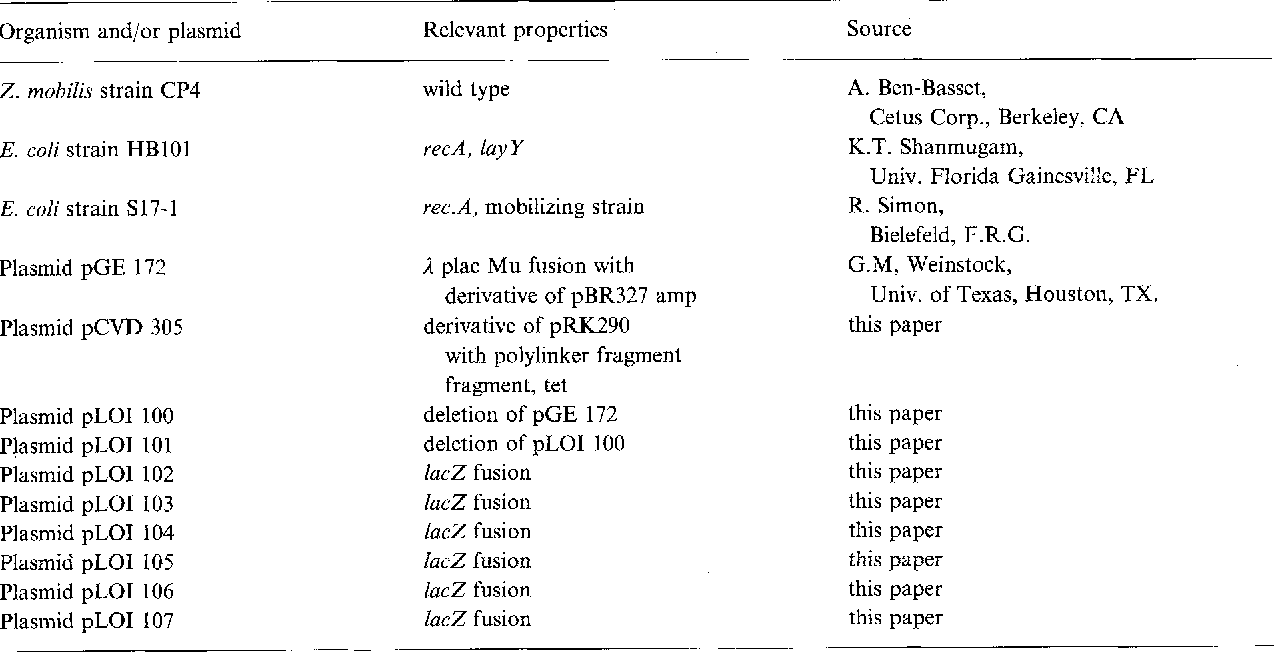 1274x654 Construction Of A New Vector For The Expression Of Foreign Genes