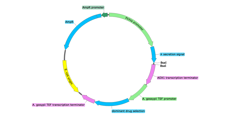 800x400 Biogrammatics