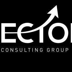 Vector Consulting Group, Thane West 250x250 Vector Consulting Group, Thane West