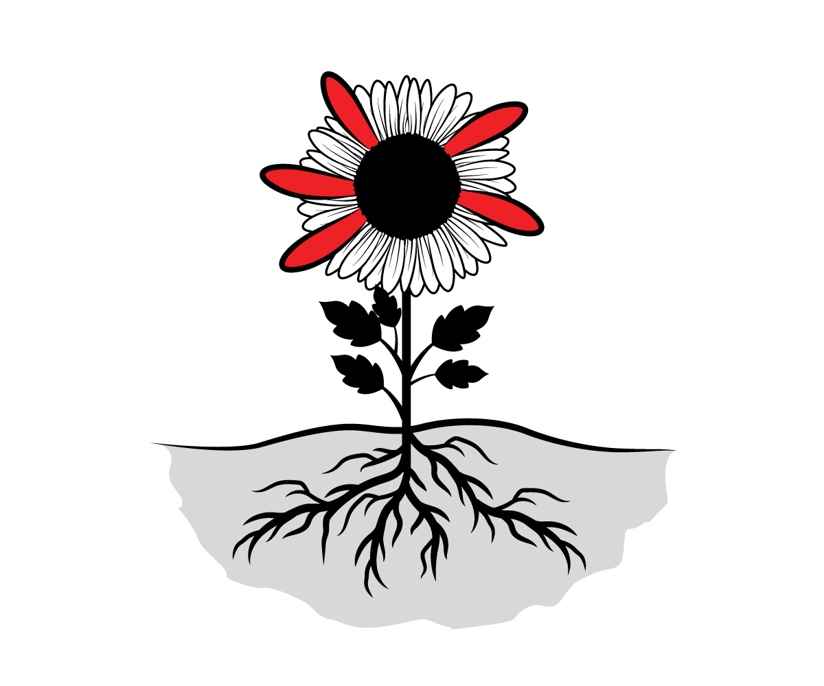 1200x1000 Bold, Modern, Management Consulting Vector Design For Eve Volution