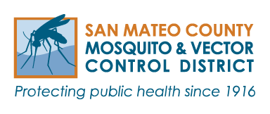 384x162 Request Service