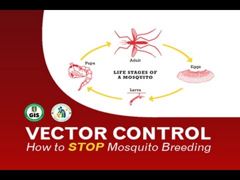 480x360 Vector Control