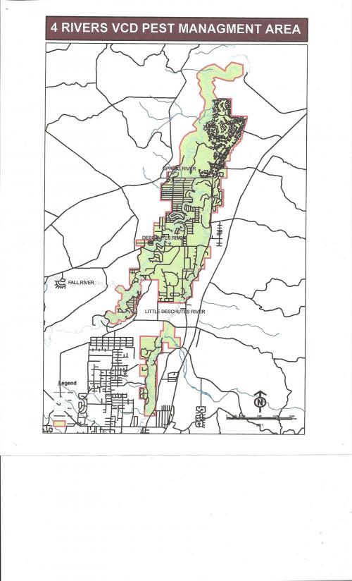 500x824 Vector Control Deschutes County Oregon